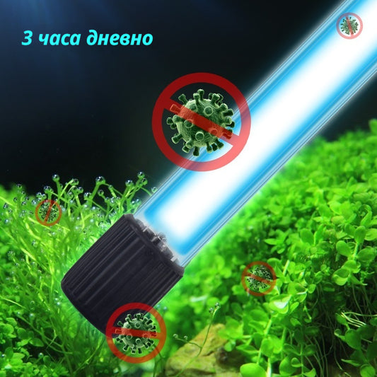 🐠🌊UV стерилизиращите лампи за аквариуми ефективно премахват водораслите и елиминират бактериите от аквариумите.