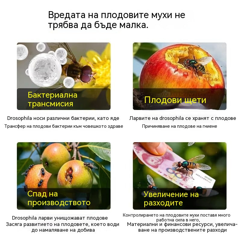 🔥【Купете 10, вземете 10 безплатно】🍊Капан за плодови мушици ✅ С вградени феромони ✅ Убива както мъжки, така и женски екземпляри, независимо от вида