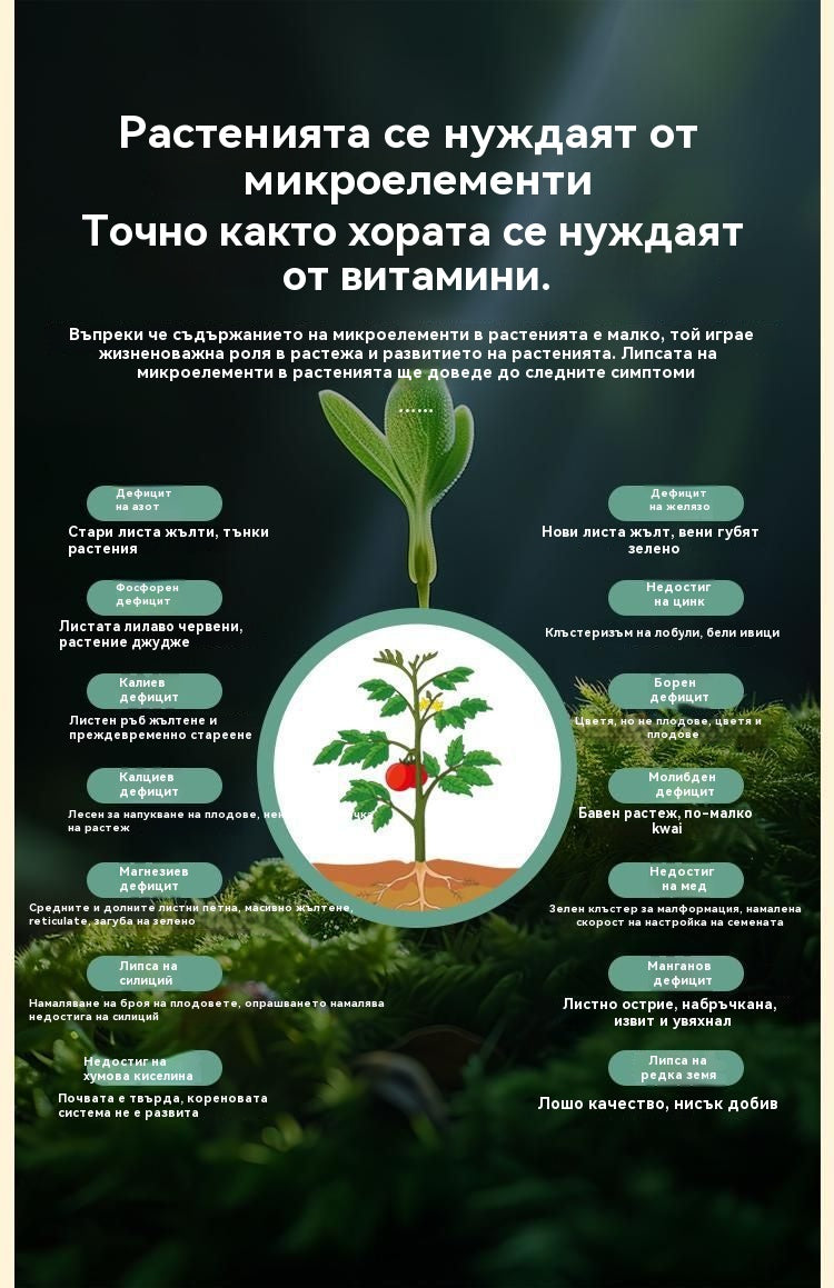 🍎🥔🧄【10 торби】Разтворим листен тор "Вълшебен картоф"|За картофи, фъстъци, сладки картофи, репички, таро и лук - стимулира корените, увеличава производството.