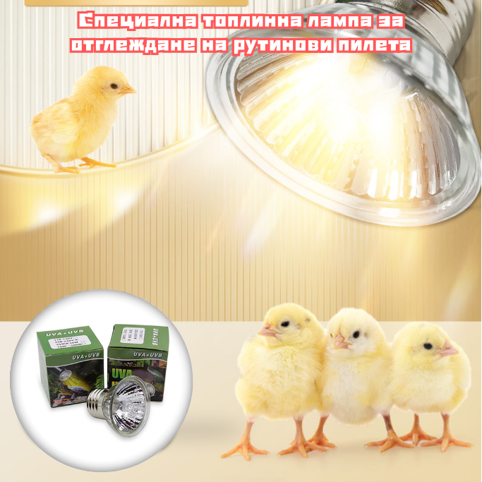 🔥【Купете 1, вземете 1 безплатно】✨🐥2026 Нов тип топлинна лампа за отглеждане на пилета рутин