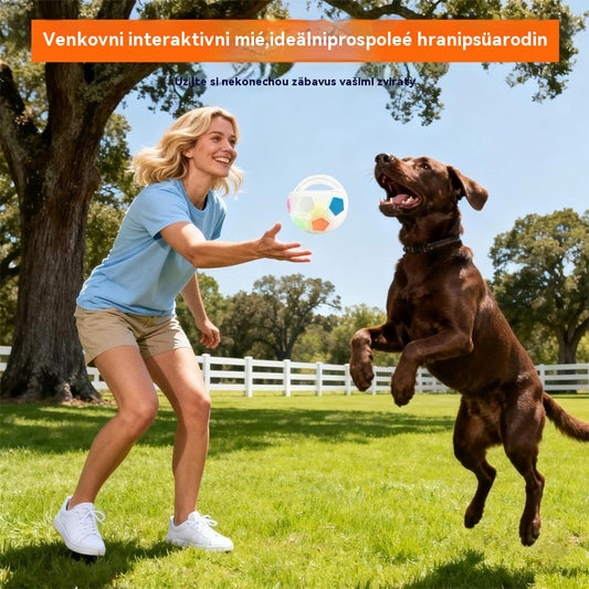 ⚽🐕🐾Купете 1 и вземете 1 безплатно🔥Играчка за кучета: футболна топка, интерактивни и устойчиви на ухапване принадлежности за бордър коли, лабрадори и коргита.