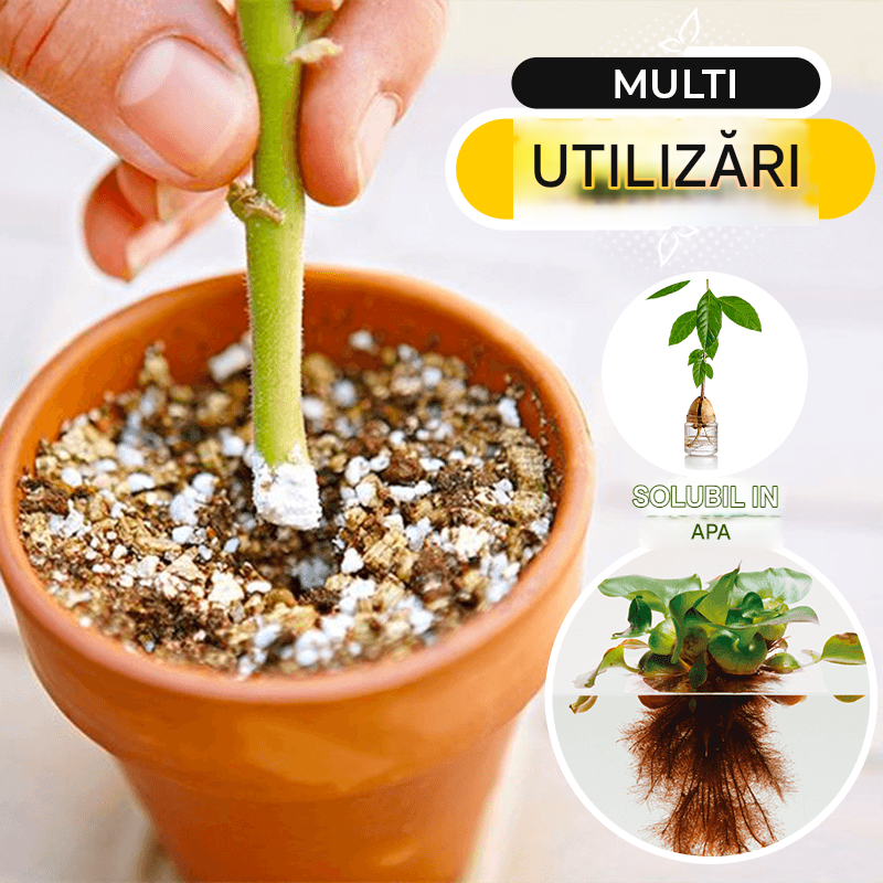 🌱🌷【20 торбички!】Прах за бързо вкореняване, бързодействащ сложен тор за вкореняване на растения