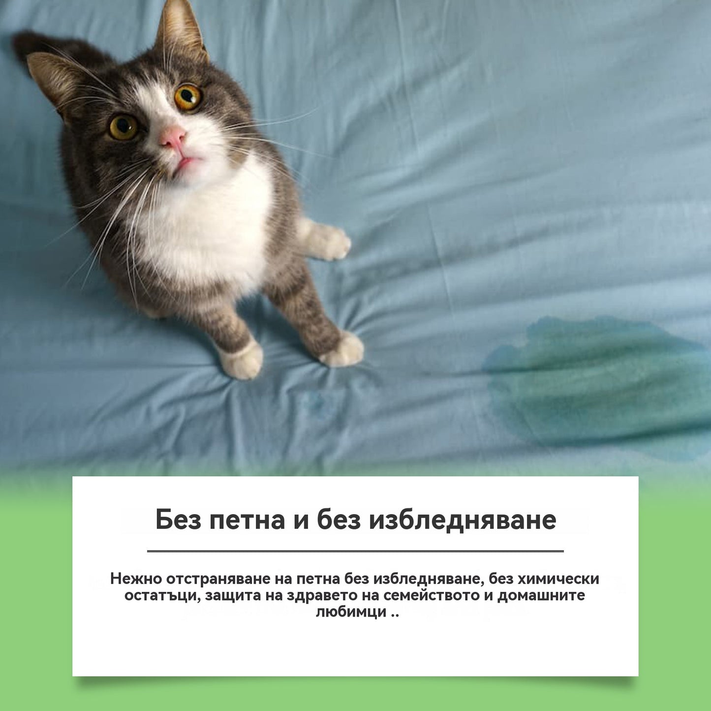 ✨【Задължително за собствениците на домашни любимци】🐶🐱Препарат за премахване на петна за домашни любимци, котки и кучета