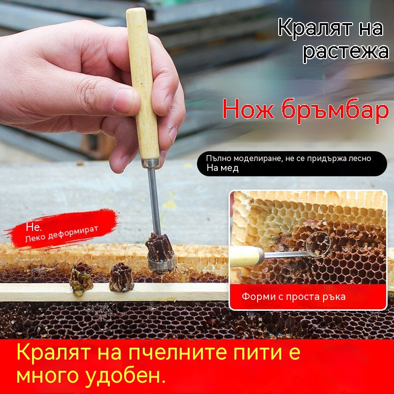 【Купете 1, вземете 1 безплатно】🔥Нов инструмент за отглеждане на пчели майки: Пълно рязане без увреждане на ларвите.