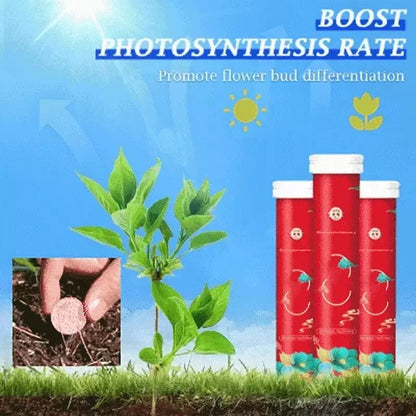 🔥【3 бр.】🌱🌺таблетки/гранули за универсален тор с бавно освобождаване за бонсай растения