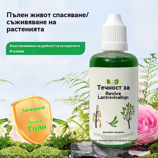 🎁🌱🌱Течен разтвор, който активира растения и цветя