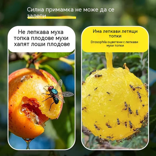 🔥【Купете 10, вземете 10 безплатно】🍊Капан за плодови мушици ✅ С вградени феромони ✅ Убива както мъжки, така и женски екземпляри, независимо от вида