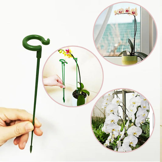 【20бр/50бр】🌼🌱🌻Подкрепа за саксии