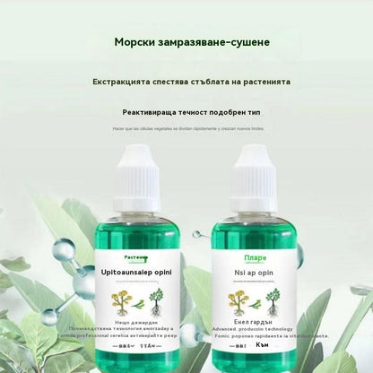 🎁🌱🌱Течен разтвор, който активира растения и цветя