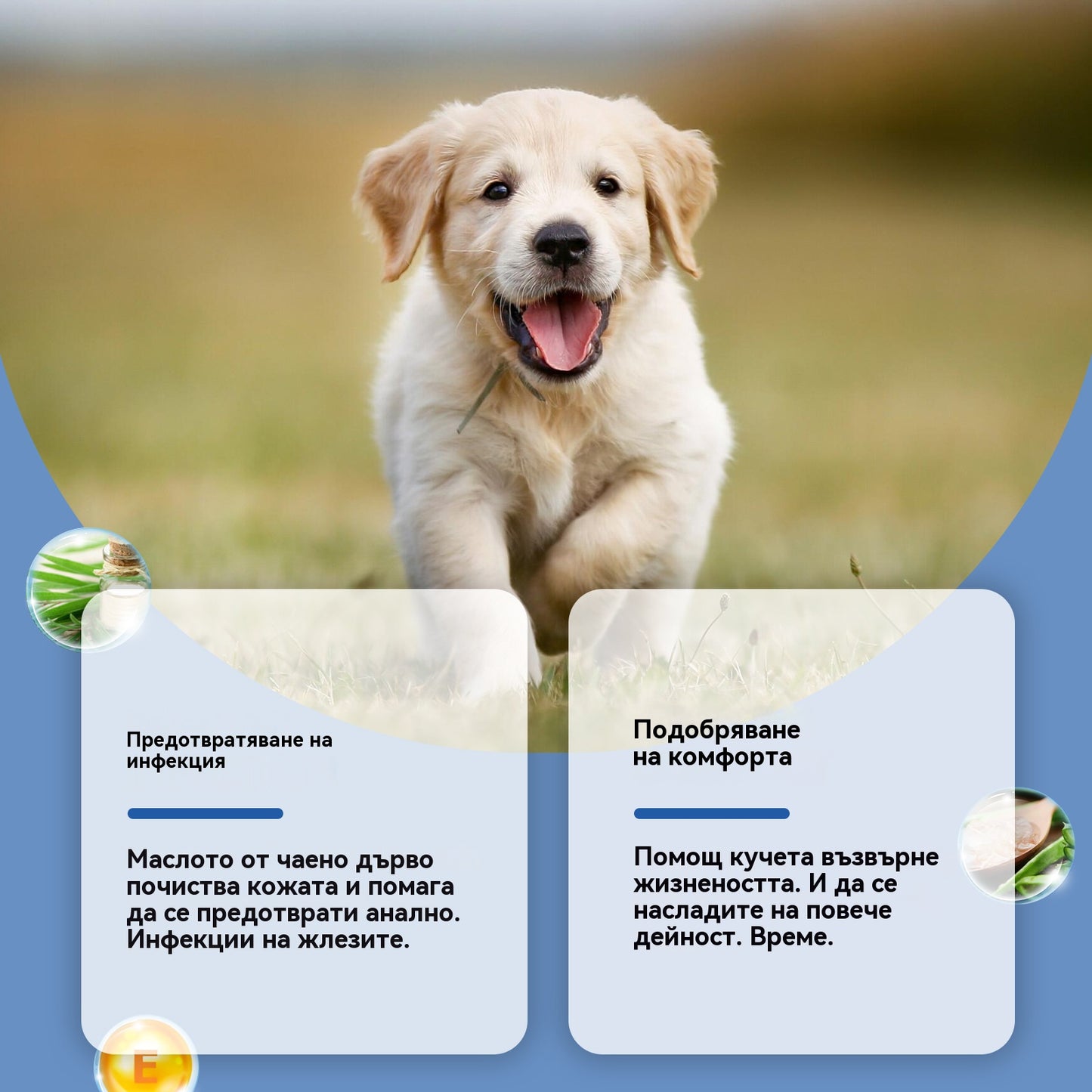 🐶【Купете 1, вземете 1 безплатно】Спрей за анални жлези за кучета: Нежна формула, грижи се за аналните жлези и изпражненията, с приятен аромат. Спрей за грижа след изхождане.