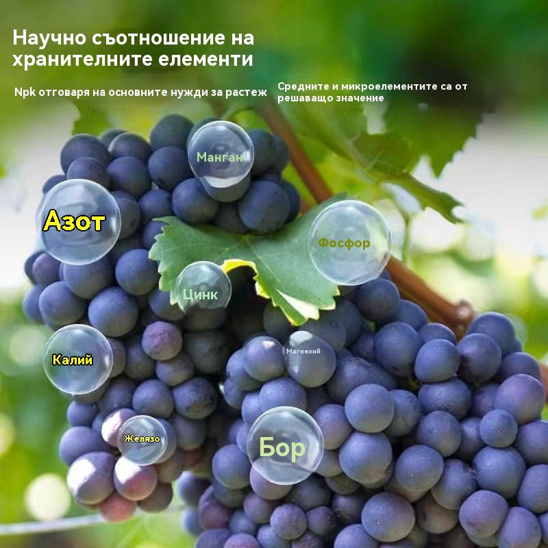 🔥【Опаковка от 4 бутилки】🍇Тор, специфичен за грозде, богат на пробиотици | Дълготрайна защита, балансирана формула