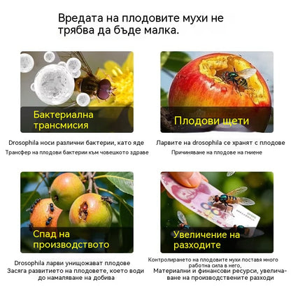 🔥【Купете 10, вземете 10 безплатно】🍊Капан за плодови мушици ✅ С вградени феромони ✅ Убива както мъжки, така и женски екземпляри, независимо от вида