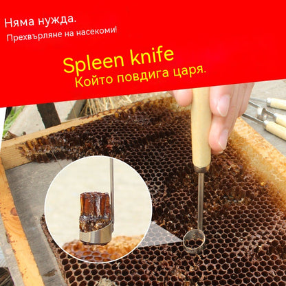 【Купете 1, вземете 1 безплатно】🔥Нов инструмент за отглеждане на пчели майки: Пълно рязане без увреждане на ларвите.