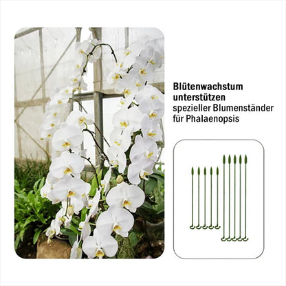 【20бр/50бр】🌼🌱🌻Подкрепа за саксии