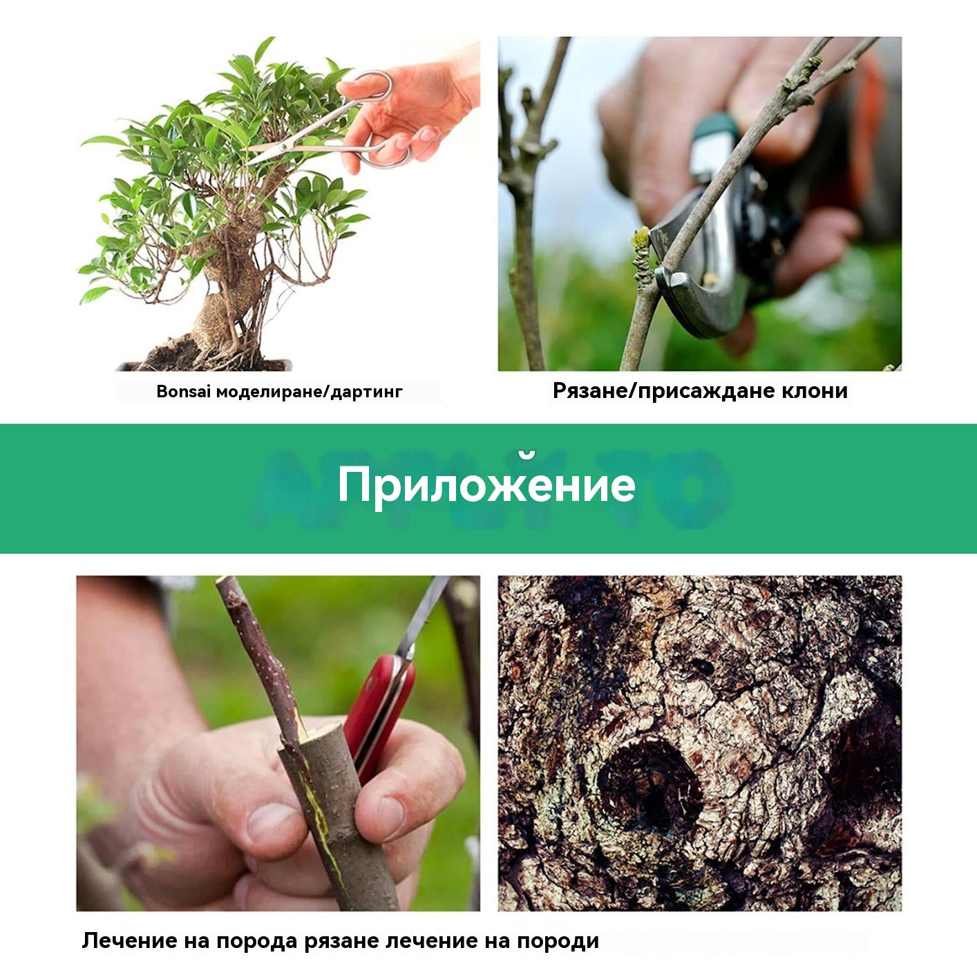 👍🌱Паста за заздравяване на рани по големи дървета, разсад, овощни дървета и дървета, покриваща рани от разсад за възстановяване на корените --- Предлага се с четка