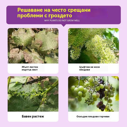 🔥【Опаковка от 4 бутилки】🍇Тор, специфичен за грозде, богат на пробиотици | Дълготрайна защита, балансирана формула