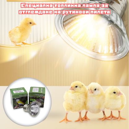 🔥【Купете 1, вземете 1 безплатно】✨🐥2026 Нов тип топлинна лампа за отглеждане на пилета рутин