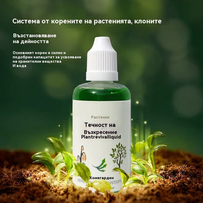 🎁🌱🌱Течен разтвор, който активира растения и цветя