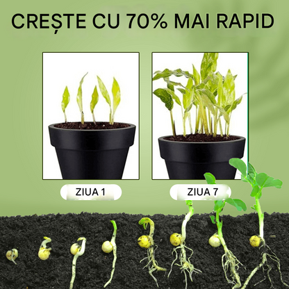 🌱🌷【20 торбички!】Прах за бързо вкореняване, бързодействащ сложен тор за вкореняване на растения