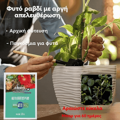 🌱🌱Твърд тор тип „стик“ за цветя и растения, който бавно освобождава хранителни вещества след внасяне в почвата.