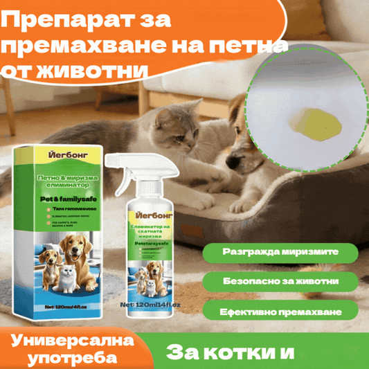 ✨【Задължително за собствениците на домашни любимци】🐶🐱Препарат за премахване на петна за домашни любимци, котки и кучета