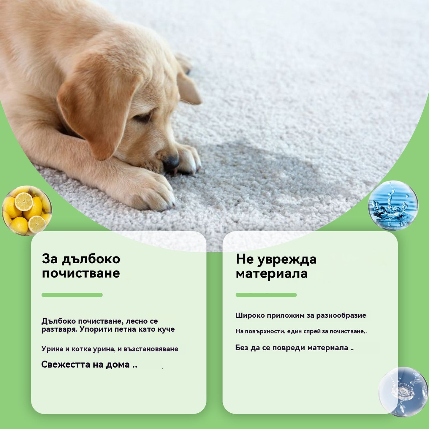 ✨【Задължително за собствениците на домашни любимци】🐶🐱Препарат за премахване на петна за домашни любимци, котки и кучета