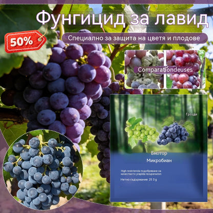 🍇🍇【10 торби】🍇Биологични препарати за грозде｜Предотвратяване на тежки заболявания｜Предотвратяване и контрол на брашнеста мана и увеличаване на производството.