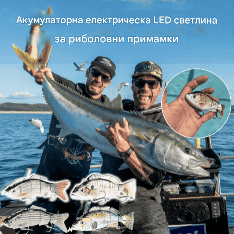 🔥【13,5 см батерийна стръв🐟 + USB кабел за зареждане + шамандура + витло*2】🎣2026 Нова симулирана електрическа риболовна стръв🐟