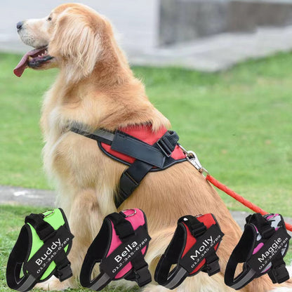 🐶💝Поглезете вашето кученце с нашия персонализиран колан