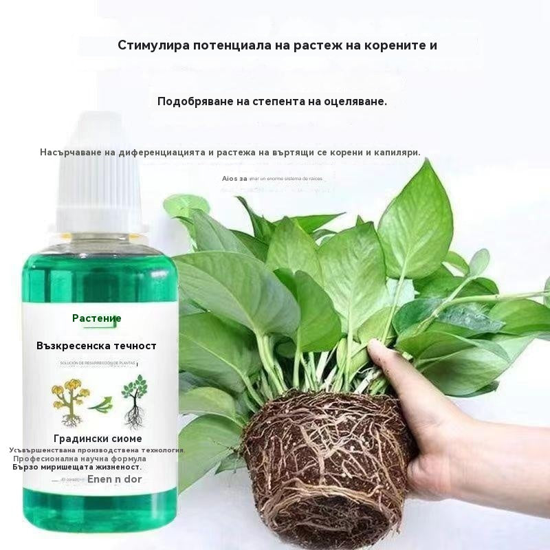 🎁🌱🌱Течен разтвор, който активира растения и цветя