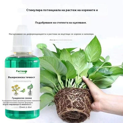 🎁🌱🌱Течен разтвор, който активира растения и цветя