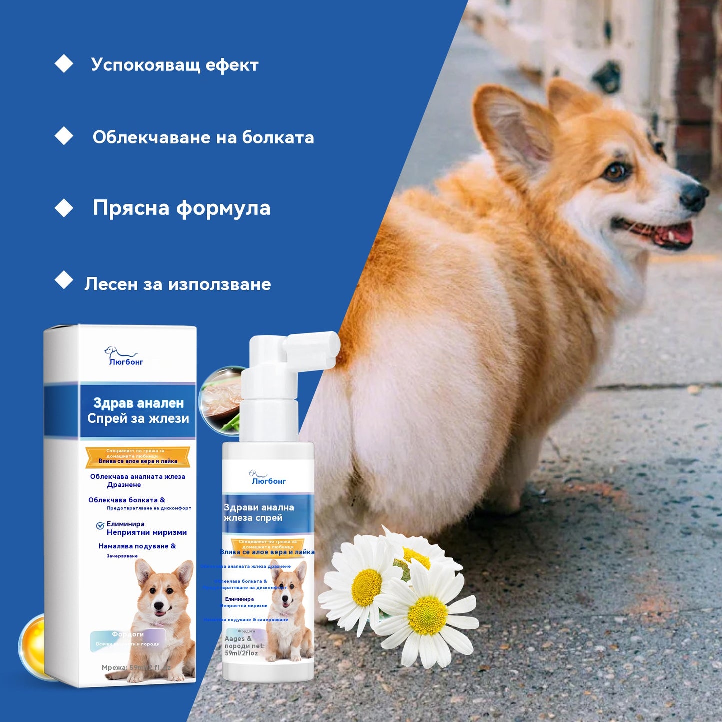 🐶【Купете 1, вземете 1 безплатно】Спрей за анални жлези за кучета: Нежна формула, грижи се за аналните жлези и изпражненията, с приятен аромат. Спрей за грижа след изхождане.