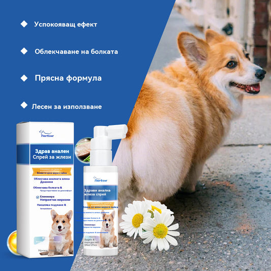 🐶【Купете 1, вземете 1 безплатно】Спрей за анални жлези за кучета: Нежна формула, грижи се за аналните жлези и изпражненията, с приятен аромат. Спрей за грижа след изхождане.