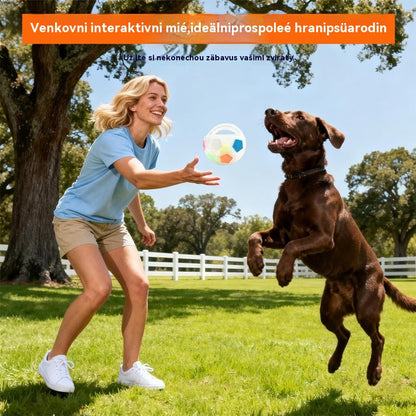 ⚽🐕🐾Купете 1 и вземете 1 безплатно🔥Играчка за кучета: футболна топка, интерактивни и устойчиви на ухапване принадлежности за бордър коли, лабрадори и коргита.